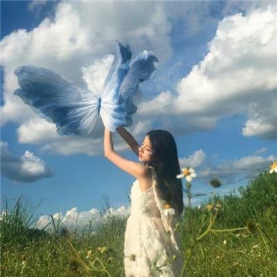 非洲的动物上班族